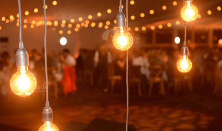 Country Chic Corporate Event Festoon Lights