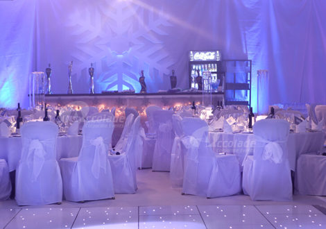 Winter Wonderland theme party