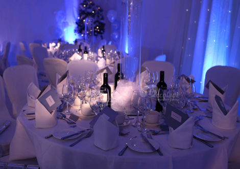 Winter Wonderland theme party