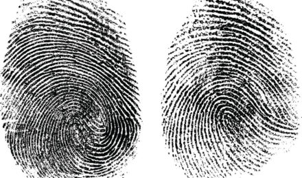 Fingerprint Masterclass team building event